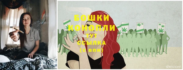 ALPHA-PVP Няндома