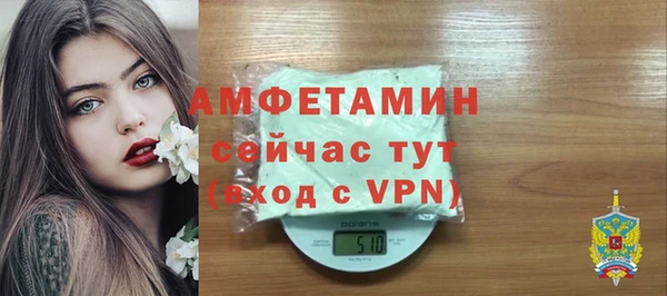 мдпв Осинники