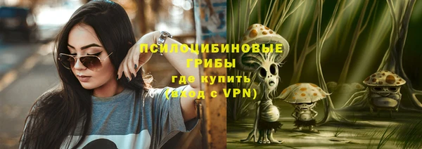apvp Нягань