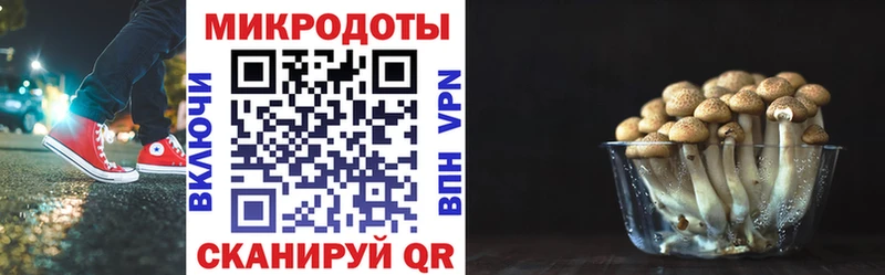 Галлюциногенные грибы Magic Shrooms  Купить где  Нефтеюганск 