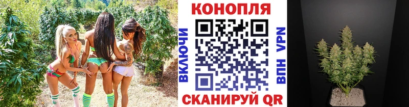 Купить где  Нефтеюганск  Марихуана SATIVA & INDICA 